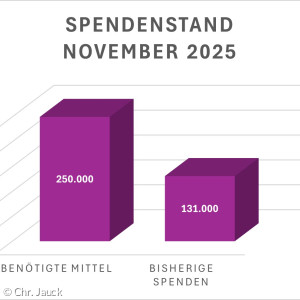 Spendenstand November 2025